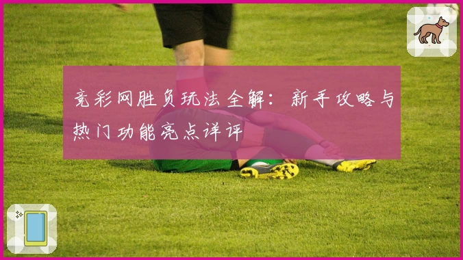 竞彩网胜负玩法全解：新手攻略与热门功能亮点详评